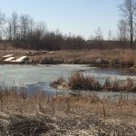 Rivers Wetlands Project