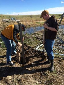 Rivers Wetlands Project