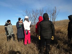 Rivers Wetlands Project